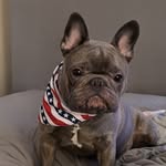 Craig Russo - @c_russo.01845 - Instagram