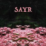 SAYR - (Craig Russo) - @sayrmusic - Instagram