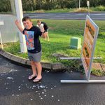 Craig Schulz - @schulzearthmoving - Instagram