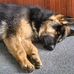 Craig Schwarz - Facebook