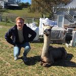 Craig Schwarz - @craig.schwarz - Instagram