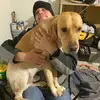 Craig seiwell - @craig.seiwell8 - TikTok