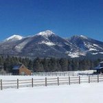 Craig Shaffer - @shaffercraig - Instagram