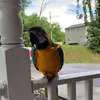 Craig Shaffer - @craig.shaffer0 - TikTok