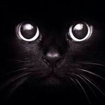 Craig Sheppard - @craig.sheppard.16 - Instagram