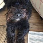 Craig Sheppard - @sheppard6968 - Instagram