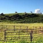 Craig Severtson - @severtsoncraig - Instagram