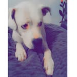 Craig Simons - @crxig_55 - Instagram