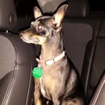 Beverly Skillman-Craig - @eastonsmimi14 - Instagram
