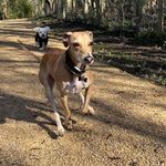 Craig Skinner - @skye_thelurcher - Instagram