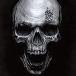 Craig Slaughter - @craigmslaughter - Instagram