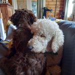Craig Smart - @craig_smart_331 - Instagram