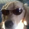 craigsnow4242 - @craigsnow4242 - TikTok