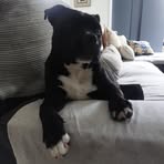 Craig Somerville - Facebook
