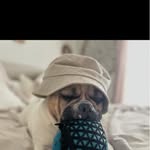 Craig N Deb Spurlock - @strawberryblondie1 - Instagram