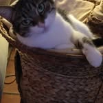 Craig Spurlock - @spurlock7776 - Instagram