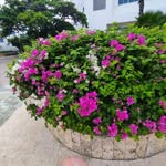 Craig Staggs - @craig.staggs - Instagram