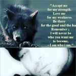 craig steadman - @steadman.craig - Instagram
