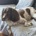 Craig Stirling-Brown - @craigstirlingbrown - Instagram