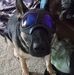 Craig Stoner - Facebook