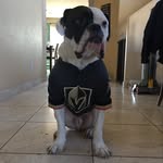 Craig Streit - @craig_streit - Instagram