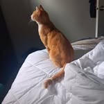 Craig Stump - @th3_crus4d3r_767 - Instagram