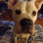 Craig Stump - @stump_craig - Instagram