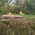 Craig Stump - @craig.stump2 - Instagram