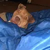 Craig Sumner - @craig.sumner93 - TikTok