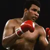 Craig sumner - @boxingsuperstars - TikTok