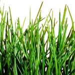Craig Sword Lawn Service - @craigswordlawnservice - Instagram