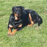 craig - @craig.timmins1963 - Instagram