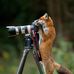 Craig Timmreck - Facebook