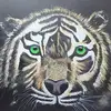 craigtimmreck817 - @craigtimmreck817 - TikTok