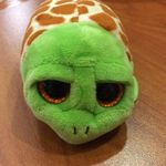 Craig_the_tuttle - @craig_the_tuttle - Instagram