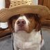 Craig Faul - Facebook