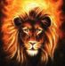 Craig Vail - Facebook