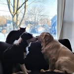 Craig Vaughan - @cutshot70 - Instagram