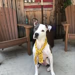 Craig Voss - @voss_craig - Instagram