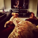 @150craigwalden - Instagram