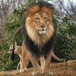 Craig F Whatley - @craigfwhatley - Instagram