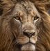 Craig Wheatley - Facebook