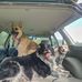 Craig Wiggins - Facebook
