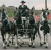Craig Wilder - Facebook