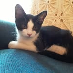 Craig Wiley - @cwileybks - Instagram
