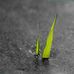 Craig Wiley - Facebook