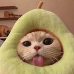 Craig Wong - @myn3k0__ - Instagram