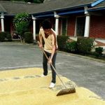 Craig Wong - @woncr104 - Instagram