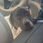 Crawford Williams - Facebook