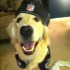 crazy.bugg - @crazy.bugg7 - TikTok
